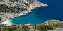 The cove of Cala Maestra. Montecristo Island, Tuscany Archipelago National Park, Italy, June 2010