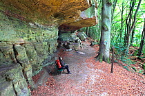 Hiker sitting under the overhang of a rock formation at Berdorf Rocky Trail, Mullerthal Region, Luxembourg's Little Switzerland, Luxembourg. October 2009