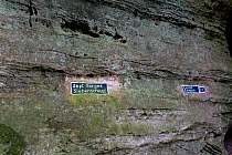 Entrance signs at Siebenschluff (The Seven Gorges) Berdorf Rocky Trail, Mullerthal Region Luxembourg's Little Switzerland, Luxembourg, October 2009