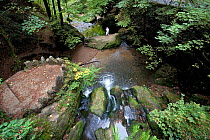 Schiessentumpel waterfall, Mullerthal Region, Luxembourg's Little Switzerland, Luxembourg, October 2009