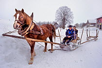 Horse-drawn sledge, with two men on board, Crna Vlast village, Plitvice Lakes National Park, Croatia.
