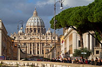 St. Peter's Basilica, with gathered crowds in foreground, Rome, Italy. December 2009