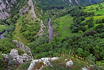 Baiului Mountains, with rivers flowing through deep gorges, Brasov, South Carpathian, Romania