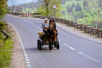 Traditional horse-drawn cart travelling down mountainside road, Transylvania, Romania