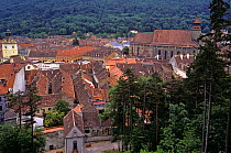 View of roof tops in the old town district of Brasov, Transylvania, Romania