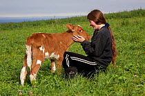 Farmer's daughter with Guernsey calf in pasture, autumn, Sharon Springs, New York, USA, model released