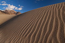 Sand dunes near Hunder, Nubra valley, Ladakh, India, June 2010