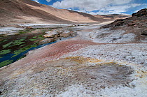 Scenery in the viscinity of Puga hot springs, Ladakh, India, June 2010