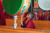 Young buddhist monk beating the drum during morning pudja, Thikse Gompa / Monastery, Ladakh, India