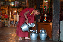 Young buddhist monk preparing tea during morning pudja, Thikse Gompa / monastery, Ladakh, India, June 2010