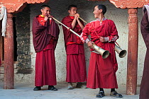 Three Buddhist monks, preparing to play the lawah (a long trumpet) Phyang, Ladakh, India, June 2010