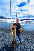 Photographer Doc White holding rare double-tusked Narwhal skull (Monodon monoceros). Arctic Bay, Canadian Arctic
