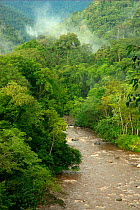 View over river through tropical rainforest. Ketambe Research Station, Gunung Leuser National Park, Sumatra, Indonesia. Picture taken during filming trip for BBC "Life" TV Series, August 2007