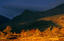 Rondane National Park with cloud shadows and birch forest in autumn, Norway.