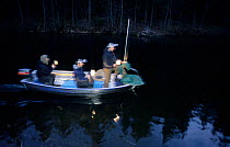 Research students in boat hoping to catch Eurasian beavers (Castor fiber) at night with special net, Lunde River, Nome, Telemark, Norway