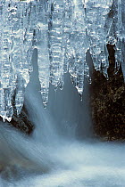 Icicles overhanging  a small stream, Telemark, Norway