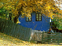 Owner standing outside traditional old wattle house, autumn, Izvoare, Harghita, Romania.