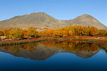Birch trees and mountains reflected in water, autumn landscape, Rondane National Park, Oppland, Norway, September 2007