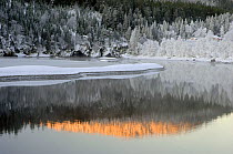 Winter landscape with Nidelva river, Klbu, Sor-Trondelag, Norway, December 2005