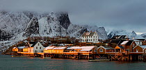 Fishing village of Sakrisoy, Moskenes, Lofoten, Nordland, Norway.