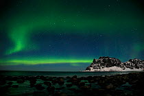 The Northern lights (Aurora borealis) viewed from Utakleiv, Vestvagoy, Lofoten, Nordland, Norway, March 2006