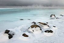 Sea ice covering rocks and arctic sea mist, Varangerfjord, Byluft, Nesseby, Finnmark, Norway