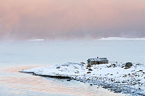 Arctic sea mist over the Varangerfjord, wooden fishing hut on the promontory, Byluft, Nesseby, Finnmark, Norway