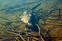Eurasian beaver (Castor fiber) swimming underwater, Telemark, Norway, June