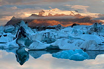 Glacier ice floating in the Jokulsarlon glacier lagoon, with Fjallsjokull in the background, sunrise, Iceland, September 2010