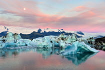 Jokulsarlon glacier lagoon at sunrise with full Moon, Iceland, September 2010