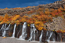 The Hraunfossar waterfall in autumn, Iceland, September 2010