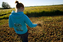 Young volunteer sowing wildflower seeds in meadow to increase biodiversity of nature reserve, Magor Marsh, Gwent Wildlife Trust reserve, Monmouthshire, Wales, October 2010