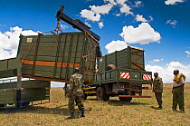 Black rhinoceroses (Diceros bicornis) - inside wooden crates and being translocated to another park by rangers from the Kenya Wildlife Service, ~Nairobi National Park, Kenya, April 2007