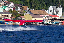 Sightseeing seaplane landing on water, Ketchikan, Alaska, USA, September 2010