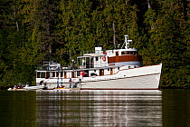 Ecotourism boat, the Seawolf, anchored off the Great Bear Rainforest, British Columbia, Canada, September 2010