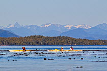 Ecotourists paddling kayaks along the coast of the Great Bear Rainforest, British Columbia, Canada, Pacific Ocean, September 2010