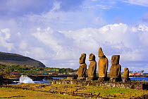 Moai statues stand erect at the restored archaeological sites of Ahu Vai Uri and Ahu Tahai in Hanga Roa, Easter Island (Pascua / Rapa Nui), Unesco World Heritage Site, November 2004
