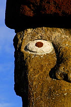 Moai face at the restored archaeological site of Ahu Ko Te Riku in Tahai Ceremonial Center in Hanga Roa, Easter Island (Pascua or Rapa Nui), Unesco World Heritage Site, November 2004