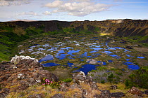 Lagoon at the crater of Rano Kau Volcano, Easter Island (Pascua / Rapa Nui), Unesco World Heritage Site, November 2004