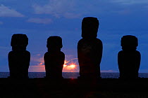 Giant moai statues stand erect at sunrise in Ahu Tongariki, Easter Island (Pascua or Rapa Nui),  Unesco World Heritage Site, November 2004