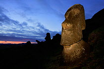 Moais at dusk on the slopes of Rano Raraku, which was the quarry for all the carved moai, Easter Island (Pascua or Rapa Nui), Unesco World Heritage Site, November 2004