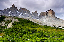 La Espada (2500 m) and the Horns of Paine (2600 m) peaks seen from El Fances valley on the W Trek, Torres del Paine National Park, Patagonia, Chile, January 2006