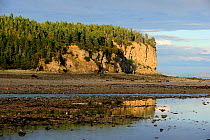 Upper Salmon river at outgoing tide, Bay of Fundy shores at Alma, New Brunswick, Canada, September 2010