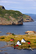 Aerial view of Burden's Point, Salvage village, east coast of Newfoundland, Canada, September 2010