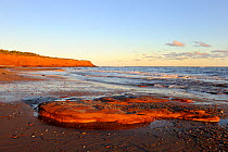 Red sandstone coastal cliffs, Cavendish Beach. PEI National Park, Prince Edward Island, Canada, October 2010