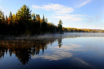 Mist and autumn coloured tress at Bouchard lake. La Mauricie National Park, Quebec, Canada, October 2010