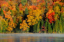 Autumn colour on Modene lake. La Mauricie National Park, Quebec, Canada, October 2010