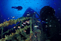 Diver swimming close to the funnel on wreck of crude oil super-tanker "Amoco Milford Haven", which sank on April 14th, 1991 after three days of fire. Genoa, Italy, 2007.