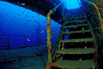 Stairs of wrecked crude oil super-tanker ^Amoco Milford Haven^, which sank on April 14th, 1991 after three days of fire. Genoa, Italy, 2007.