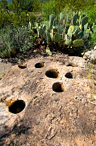 Pre-Colombian corn grinding holes, Oliver Lee State Park. New Mexico, USA, August 2009